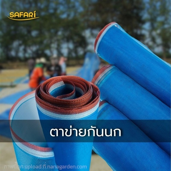 มุ้งไนล่อนฟ้า / ดางเขียว / ผ้าแยง มุ้งเขียว | บริษัท เวิลด์ เบสท์ เอนจิเนียริ่ง จำกัด - บางนา กรุงเทพมหานคร