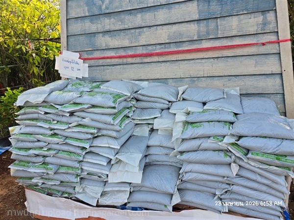 ดินผสมมูลไส้เดือน | สวนป้านิตย์ ปราจีนบุรี - เมืองปราจีนบุรี ปราจีนบุรี