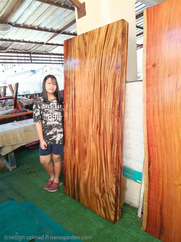 ไม้แผ่นเดียว  ไม้จริง  90cmx200cm  (งานสั่งผลิต) | ร้าน Chat_Shop  (เฟอร์นิเจอร์ไม้)  - บางใหญ่ นนทบุรี
