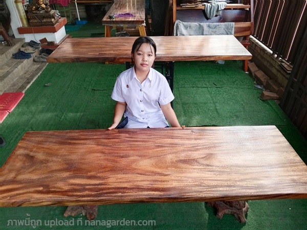 ไม้แผ่นเดียว ก65xย195cm x หนา 5 cm   | ร้าน Chat_Shop  (เฟอร์นิเจอร์ไม้)  - บางใหญ่ นนทบุรี