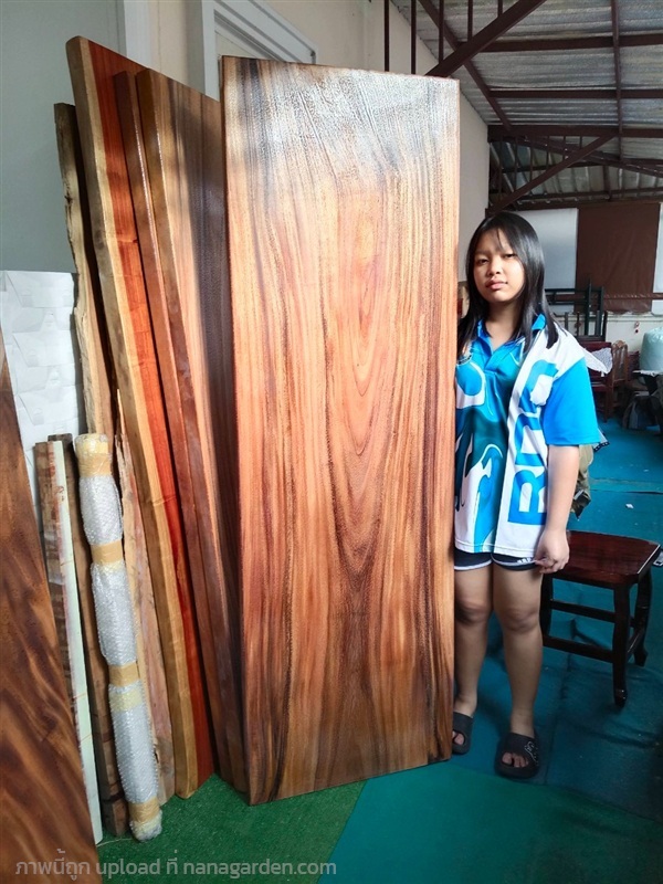 ไม้แผ่นเดียว  ไม้แท้ งานไม้จริง ก64cmzxย195cm | ร้าน Chat_Shop  (เฟอร์นิเจอร์ไม้)  - บางใหญ่ นนทบุรี