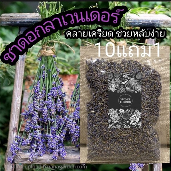 ชาดอกลาเวนเดอร์ ขนาด 50 กรัม | ลิตเติ้ลพาร์ค Little Park - บางกรวย นนทบุรี