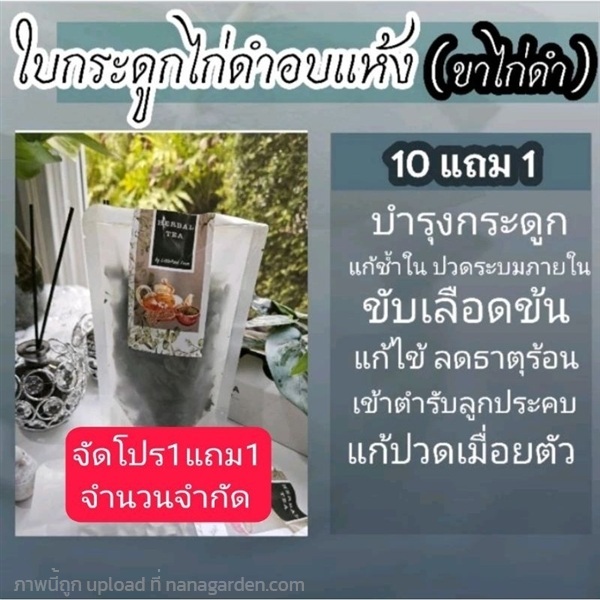 ชาใบกระดูกไก่ดำอบแห้ง ขาไก่ดำ | ลิตเติ้ลพาร์ค Little Park - บางกรวย นนทบุรี