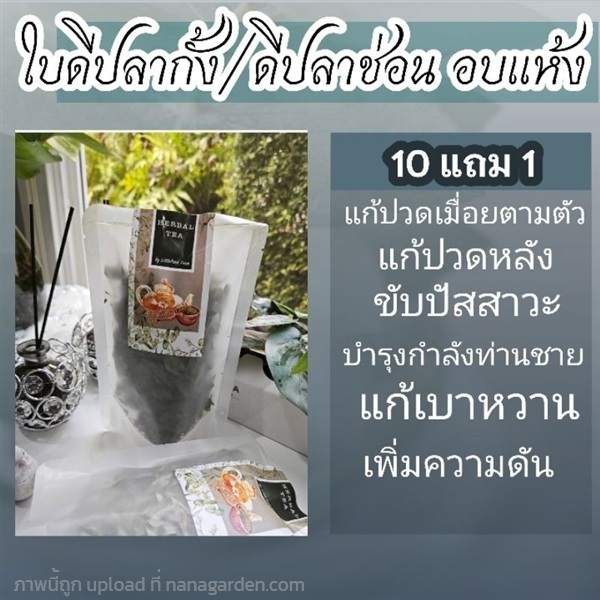 ชาใบดีปลากั้งอบแห้ง | ลิตเติ้ลพาร์ค Little Park - บางกรวย นนทบุรี
