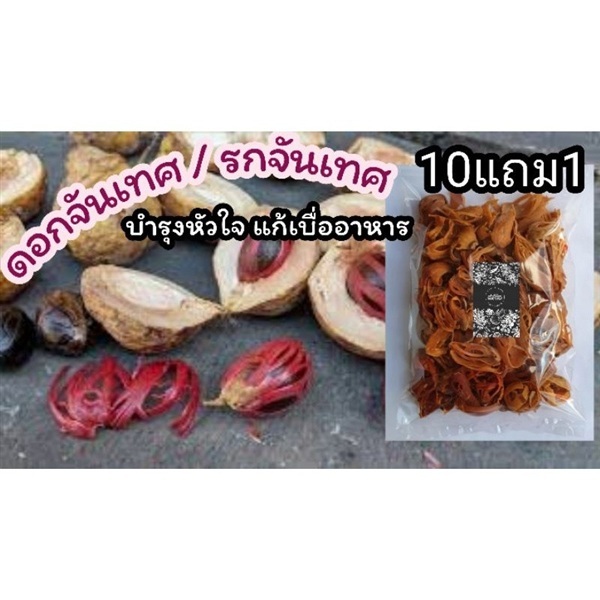 ดอกจันเทศ รกจันเทศ ขนาด 50 กรัม สมุนไพรไทย อภัยภูเ | ลิตเติ้ลพาร์ค Little Park - บางกรวย นนทบุรี