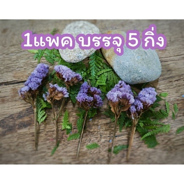 ดอกไม้แห้ง ใบไม้แห้ง งานDIY งานประดิษฐ์ งานคราฟท์  | ลิตเติ้ลพาร์ค Little Park - บางกรวย นนทบุรี