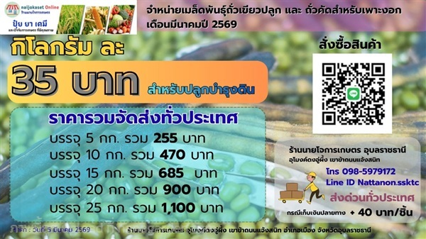 เมล็ดถั่วเขียว   เดือนกุมภาพันธ์ ปี  2569 | เมล็ดถั่วเขียว อุบลราชธานี - เมืองอุบลราชธานี อุบลราชธานี