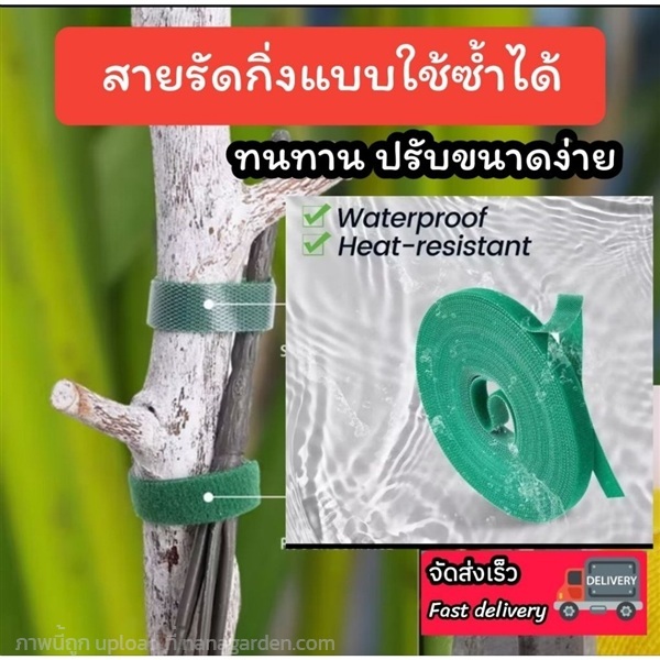 สายรัดกิ่งต้นไม้ พันกิ่งไม้ พยุงกิ่ง เชือก | ลิตเติ้ลพาร์ค Little Park - บางกรวย นนทบุรี