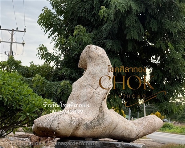 หินแมวน้ำ หินธรรมชาติ | ร้านหินโชคศิลาทอง - เมืองกาญจนบุรี กาญจนบุรี