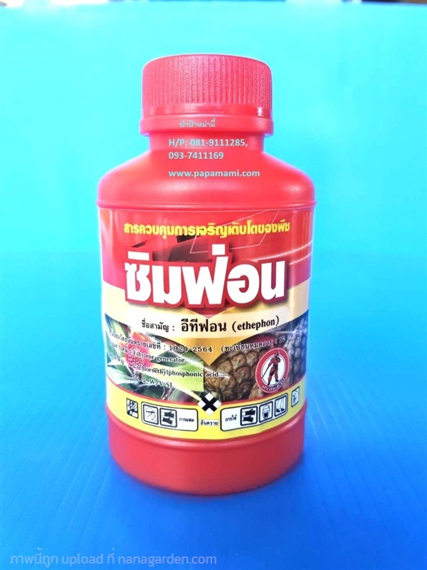 ซิมฟอน อีทีฟอน52 (อีทีฟอน Ethephon) บ่มผลไม้ 100cc | บ้านป่าป๊า & หม่ามี๊ - บางบัวทอง นนทบุรี