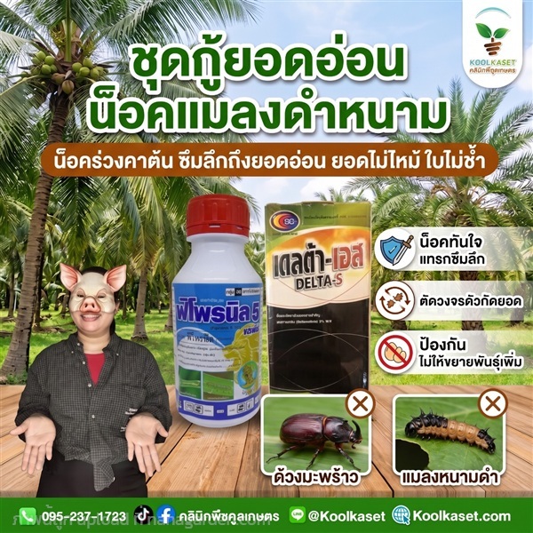 ชุดคู่น็อค แมลงดำหนาม ประหยัด คูลเกษตร KIC3.2 | คลินิกพืชคูลเกษตร - ชุมตาบง นครสวรรค์