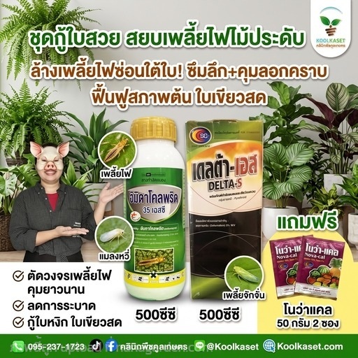 ชุดกู้ใบสวย ป้องกันเพลี้ยไฟ จัมโบ้+บำรุงX2 KIC7.4 | คลินิกพืชคูลเกษตร - ชุมตาบง นครสวรรค์