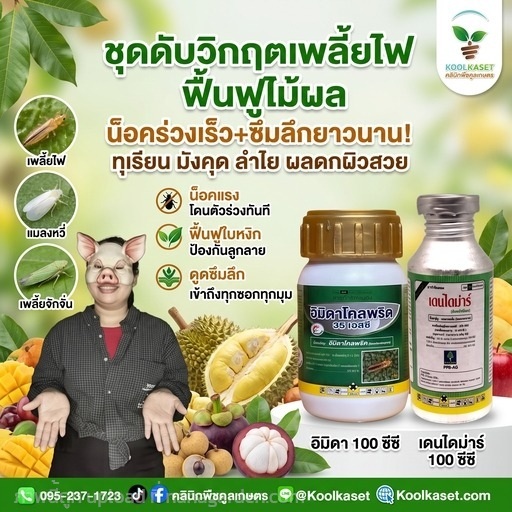 ชุดกำจัด เพลี้ยไฟ ทดลองใช้ คูลเกษตร KIC10.1 | คลินิกพืชคูลเกษตร - ชุมตาบง นครสวรรค์