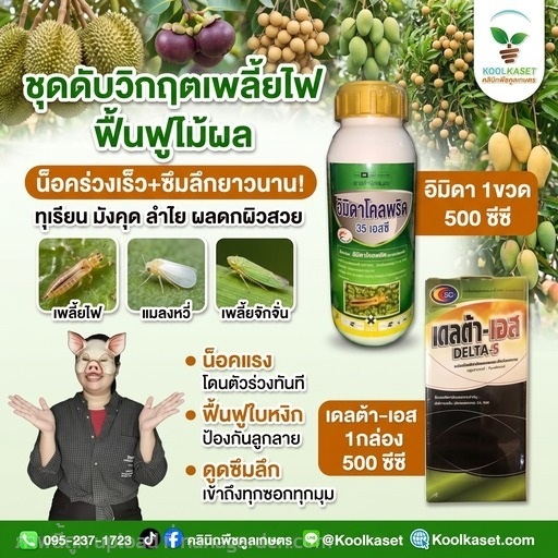 ชุดกำจัด เพลี้ยไฟ ชุดประหยัด คูลเกษตร KIC10.3 | คลินิกพืชคูลเกษตร - ชุมตาบง นครสวรรค์