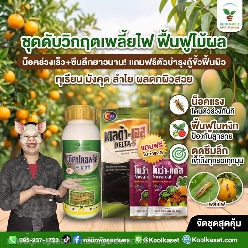 ชุดกำจัด เพลี้ยไฟ น็อคเร็ว คุมนาน คูลเกษตร KIC10.4 | คลินิกพืชคูลเกษตร - ชุมตาบง นครสวรรค์
