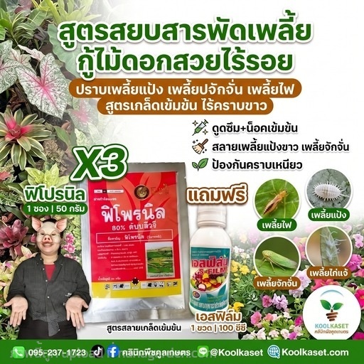 กำจัดเพลี้ย เพลี้ย+บำรุงX2 สูตรน็อค+ดูดซึม KIC11.2 | คลินิกพืชคูลเกษตร - ชุมตาบง นครสวรรค์