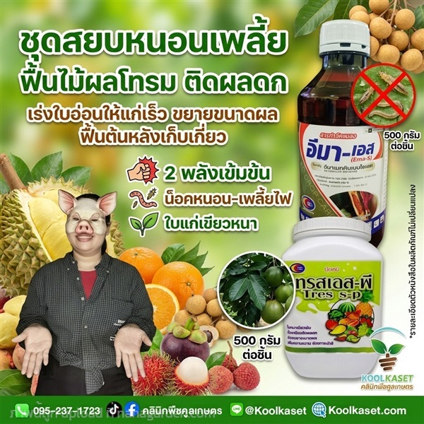 ชุดประหยัด กำจัด หนอนชอนใบ คูลเกษตร KIC33.1 | คลินิกพืชคูลเกษตร - ชุมตาบง นครสวรรค์