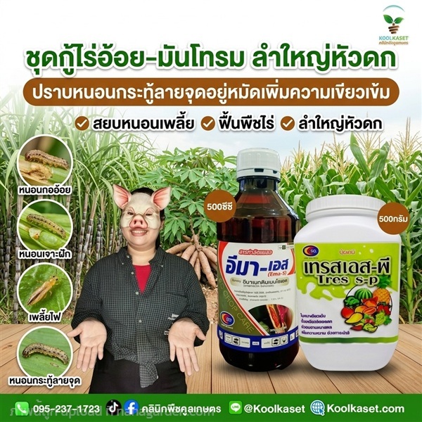 ชุดกู้พืชไร่ ประหยัด คูลเกษตร KIC34.1 | คลินิกพืชคูลเกษตร - ชุมตาบง นครสวรรค์