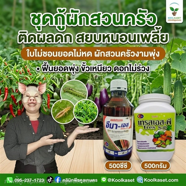 ชุดกู้ชีพ ประหยัด ผักสวนครัว คูลเกษตร KIC37.1 | คลินิกพืชคูลเกษตร - ชุมตาบง นครสวรรค์