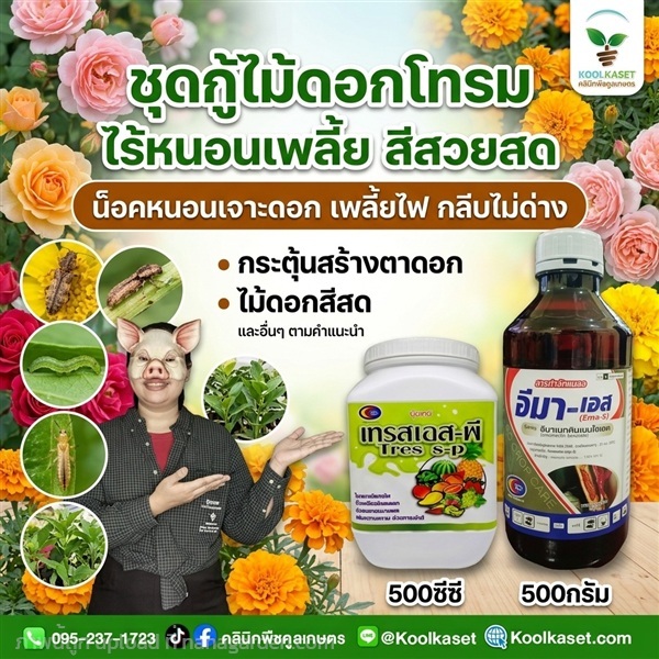 ชุดกู้ไม้ดอก ประหยัด เร่งดอกใหญ่ คูลเกษตร KIC39.1 | คลินิกพืชคูลเกษตร - ชุมตาบง นครสวรรค์