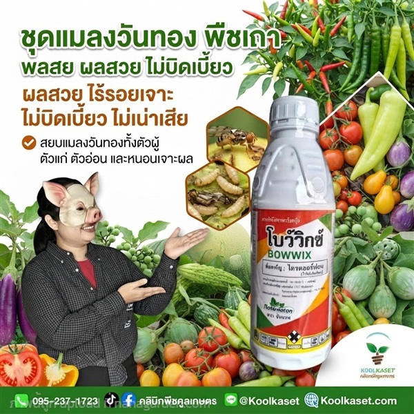 ชุดปราบแมลงวันทอง ฉีดพ่น ชนิดน้ำ KIC43.17 | คลินิกพืชคูลเกษตร - ชุมตาบง นครสวรรค์