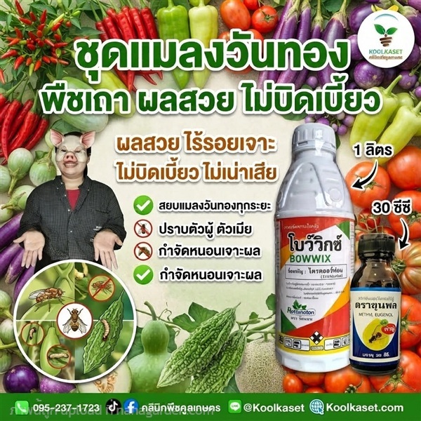 ชุดปราบแมลงวันทอง ฉีดพ่น+สารล่อ KIC43.18 | คลินิกพืชคูลเกษตร - ชุมตาบง นครสวรรค์