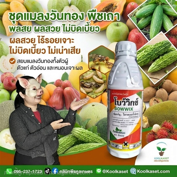  ชุดสยบ แมลงวันทอง ฉีดพ่น ชนิดน้ำ KIC43.24 | คลินิกพืชคูลเกษตร - ชุมตาบง นครสวรรค์