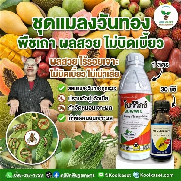 ชุดสยบ แมลงวันทอง ฉีดพ่น+สารล่อ KIC43.25 | คลินิกพืชคูลเกษตร - ชุมตาบง นครสวรรค์