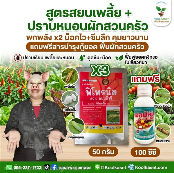 กำจัดเพลี้ย น็อคไว ฟรีสารบำรุง คูลเกษตร KIC12.2 | คลินิกพืชคูลเกษตร - ชุมตาบง นครสวรรค์