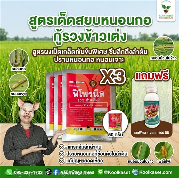 ชุดกำจัดหนอน X2 ในนาข้าว คูลเกษตร KIC13.2 | คลินิกพืชคูลเกษตร - ชุมตาบง นครสวรรค์