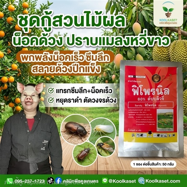 ชุดกู้สวน ทดลองใช้ คูลเกษตร KIC14 | คลินิกพืชคูลเกษตร - ชุมตาบง นครสวรรค์