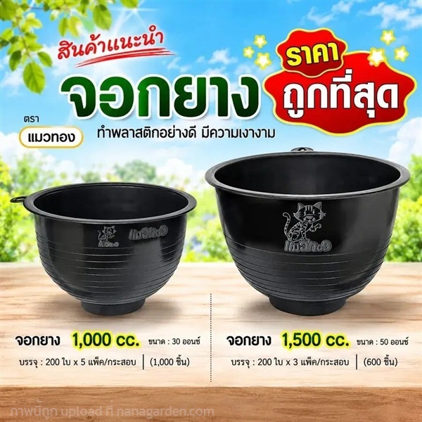 จอกยาง (รองรับน้ำยางพารา) | จอห์นชาวไร่ บริษัทรับจัดสวน - บางบัวทอง นนทบุรี