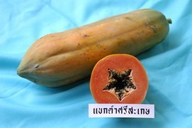 แขกดำศรีสะเกษ | วีณาเกษตรไทย - ธัญบุรี ปทุมธานี