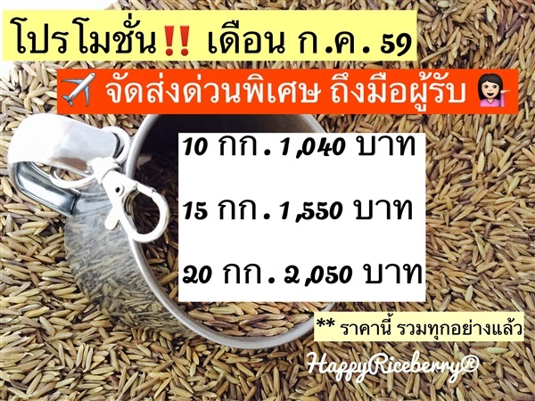 พันธุ์ข้าวไรซ์เบอรี่ (ส่งด่วนพิเศษ) | ออร์คิดเฮ้าส์ - บางใหญ่ นนทบุรี