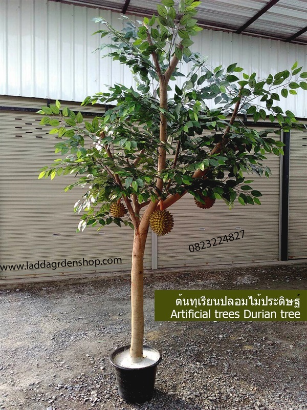 ต้นทุเรียนปลอม Durian tree Artificial trees | laddagarden - ลาดหลุมแก้ว ปทุมธานี
