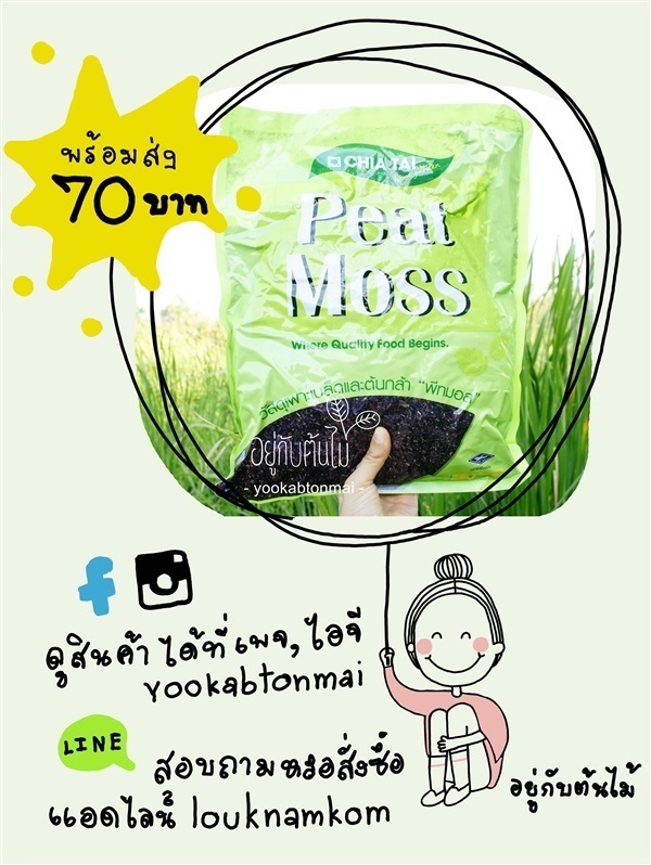 พีทมอสpeatmoss ขนาด 1 กิโลกรัม | อยู่กับต้นไม้ - เมืองนครปฐม นครปฐม