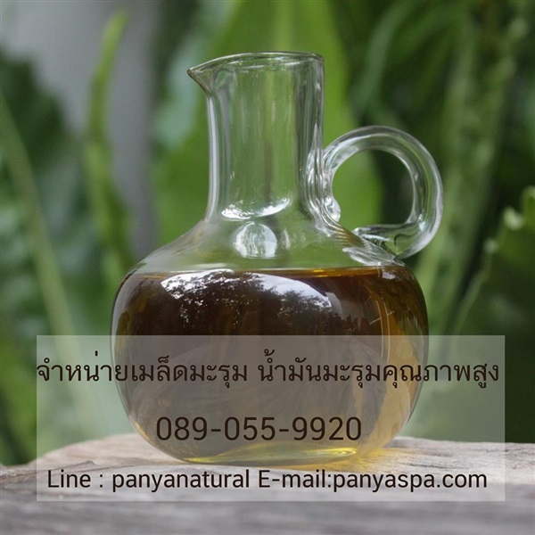 จำหน่ายน้ำมันมะรุม เมล็ดมะรุม คุณภาพ ปลีกส่ง | Panyaspa - วัฒนา กรุงเทพมหานคร