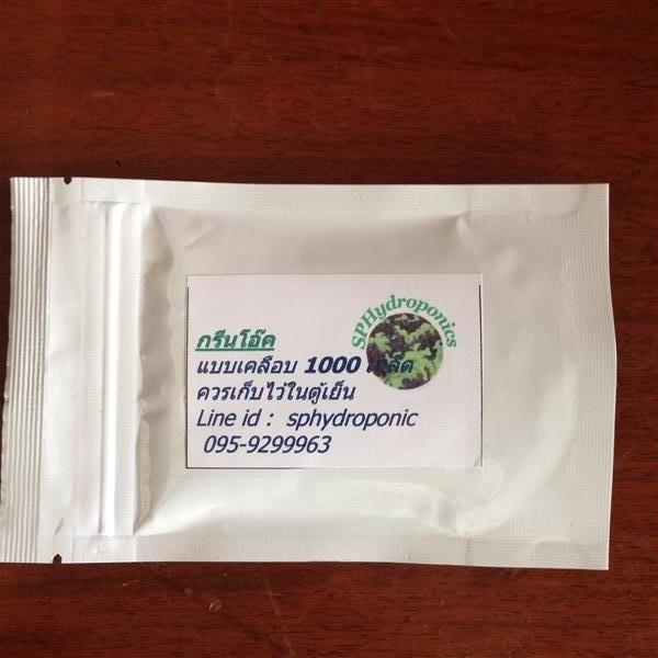 เมล็ดกรีนโอ๊ค ชนิดเคลือบ เมล็ดสีน้ำตาล 1000 เมล็ด  | SP Hydroponics - วิเชียรบุรี เพชรบูรณ์