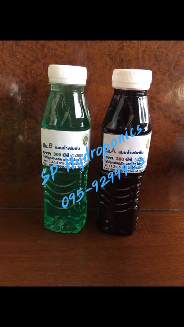 ปุ๋ย A/B ชนิดน้ำเข้มข้น  300 ซีซี | SP Hydroponics - วิเชียรบุรี เพชรบูรณ์