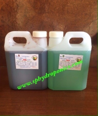 ปุ๋ย A/B แบบนำ้ 1000 ซีซี | SP Hydroponics - วิเชียรบุรี เพชรบูรณ์