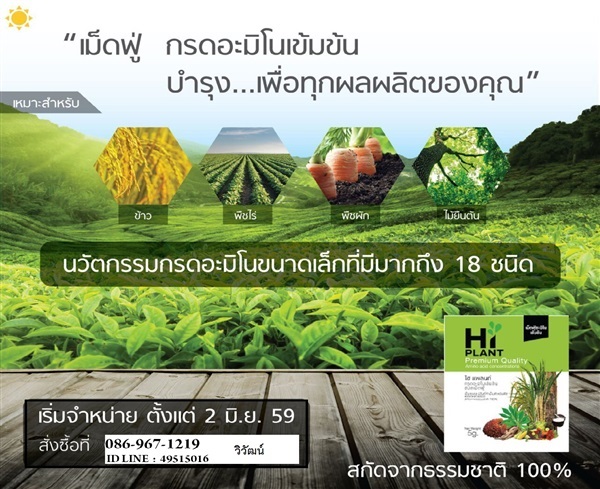 ปุ๋ยน้ำฉีดพ่น 3-4 ไร่  เร่งการเจริญเติบของพืช ของผลผลิต  | ครัวแม่จับ ปักษ์ใต้อาหารแห้ง - ควนขนุน พัทลุง