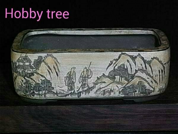กระถางบอนไซญี่ปุ่น | hobby tree - ลำลูกกา ปทุมธานี