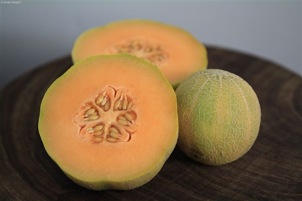 เมล่อน มินิโซต้า มิดแกต Minnesota Midget Melon Seeds