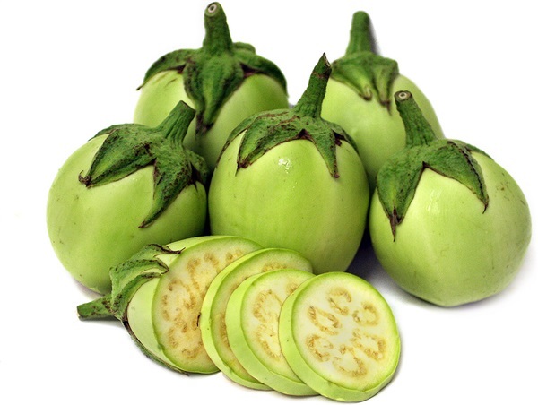 มะเขือแอปเปิ้ล กรีน  APPLEGREEN EGGPLANT Green Fruit | ไม้ดอกออนไลน์ - บางใหญ่ นนทบุรี