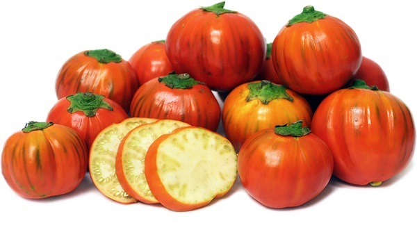 มะเขือตุรกี Turkish Orange Eggplant