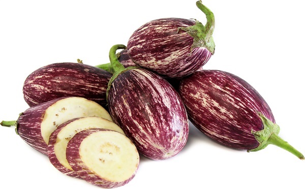 มะเขือแพนดอร่า สตริป โรส  PANDORA STRIPED ROSE EGGPLANT | ไม้ดอกออนไลน์ - บางใหญ่ นนทบุรี