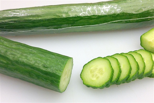 แตงกวาเออรี่ สปริง Early Spring burpless Cucumber