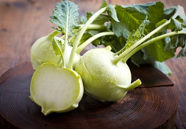 กะหล่ำปม สีเขียว Green VIENNA KOHLRABI Brassica | ไม้ดอกออนไลน์ - บางใหญ่ นนทบุรี