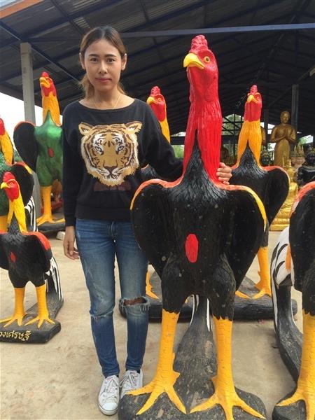 ไก่ชนสูง150ซ.ม. | ด่านเกวียนเดคคอร์ - โชคชัย นครราชสีมา