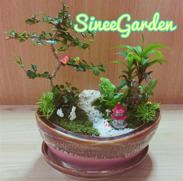 สวนถาด | SineeGarden - บางบัวทอง นนทบุรี